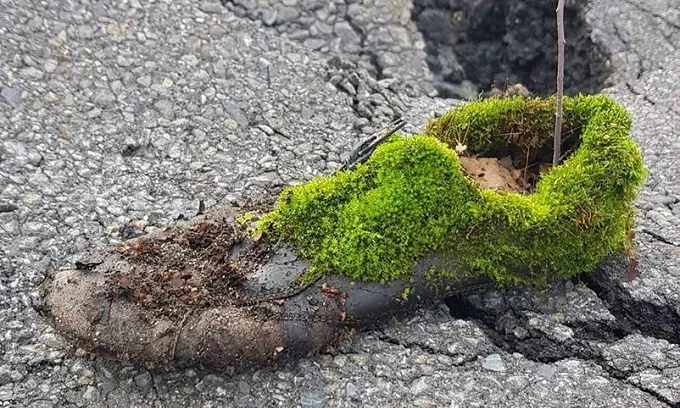 Posprzątaj las z klubem biegowym HRmax Żory