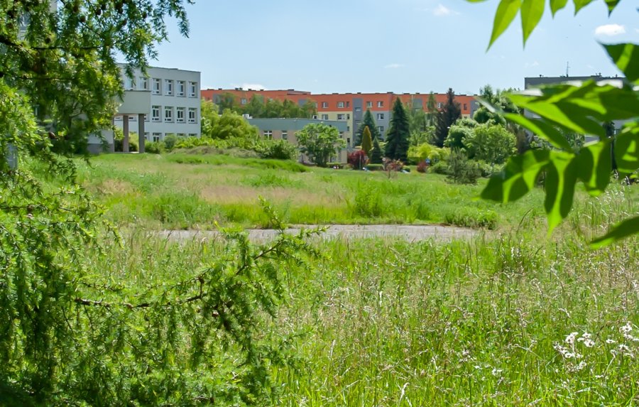 Jest przetarg na projekt "6 dla Stroszka"