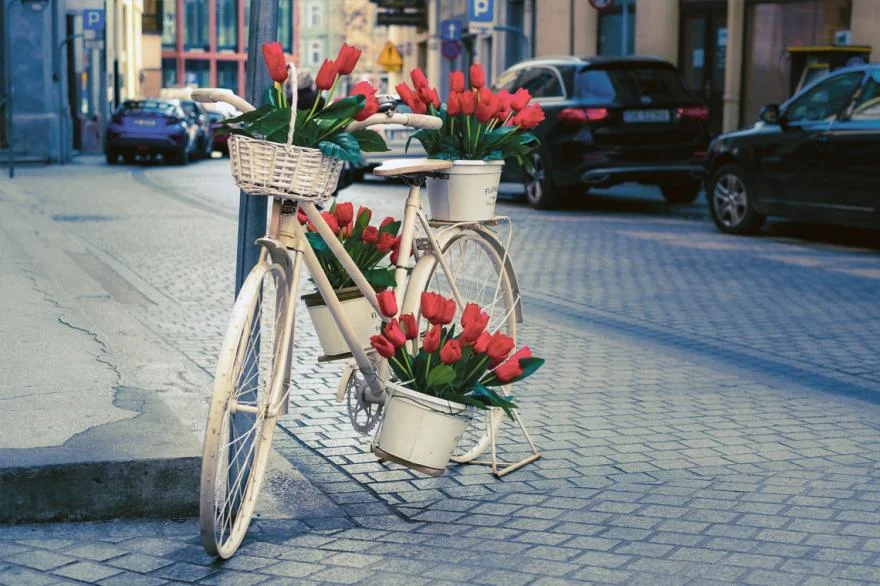 Gliwicka starówka w nowej odsłonie