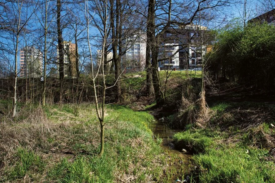 Zielony zbiornik na Wilczych Dołach