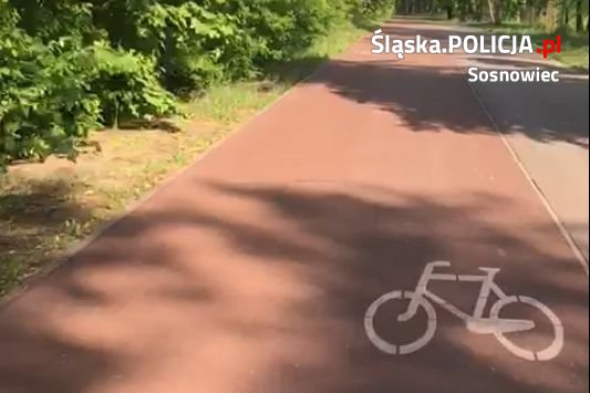 Groźne zdarzenie w parku Stawiki w Sosnowcu