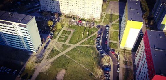 W Kazimierzu Górniczym powstanie różany ogród