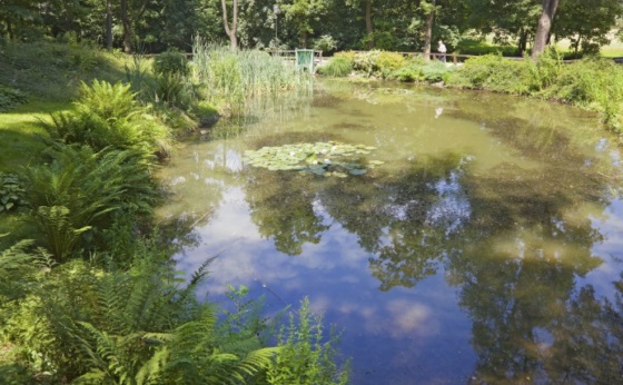 W Mikołowie ruszył program dopłat do małej retencji