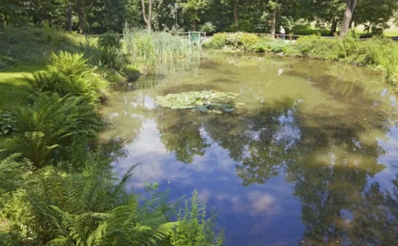 W Mikołowie ruszył program dopłat do małej retencji