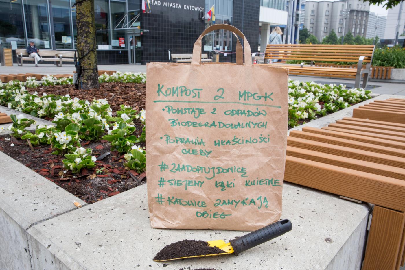Katowice: Adoptuj donicę i posiej łąkę