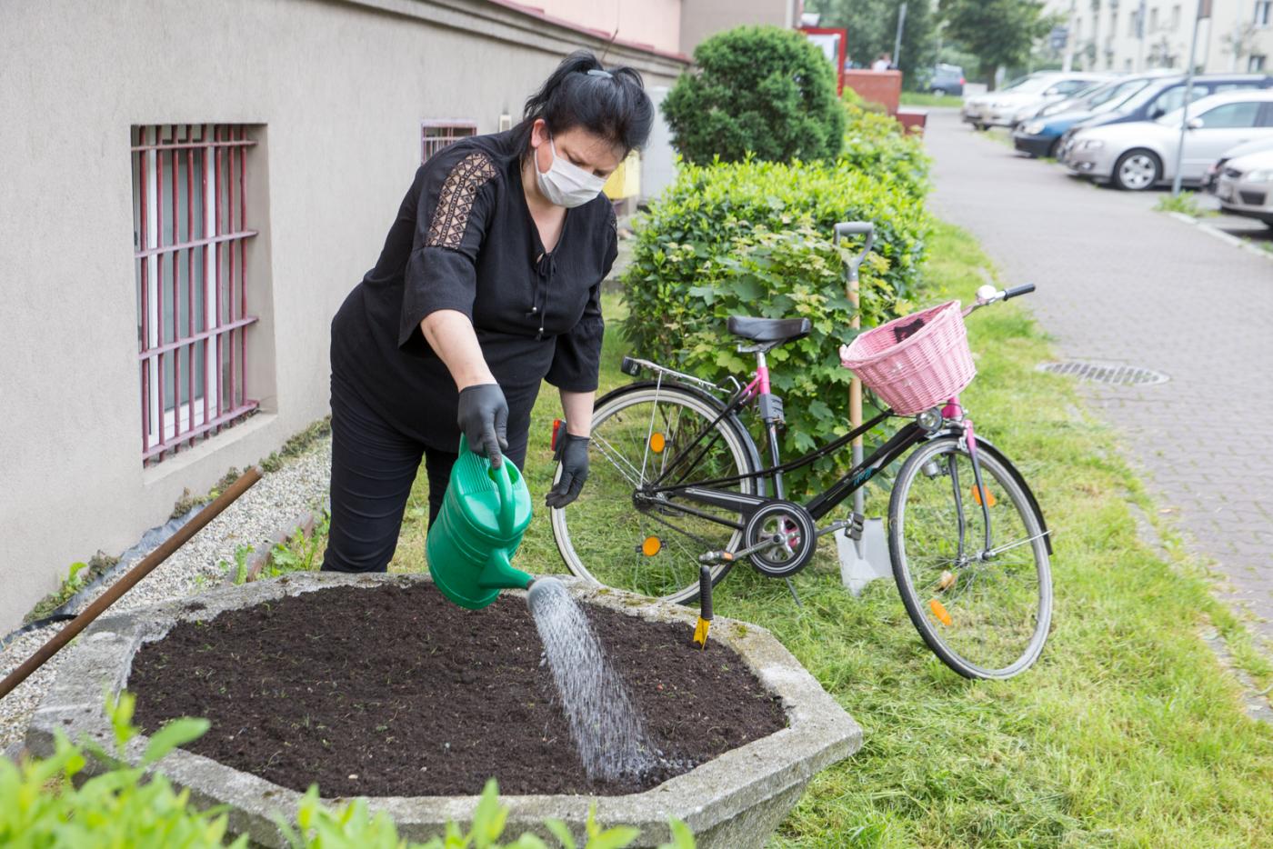 Katowice: Adoptuj donicę i posiej łąkę