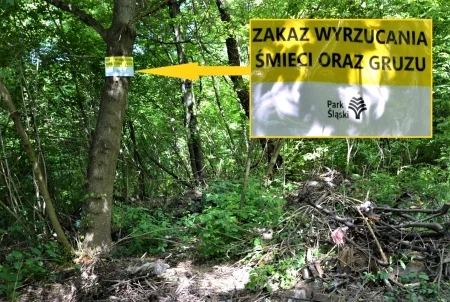 Park Śląski bez dzikich wysypisk. Kolejne zlikwidowane