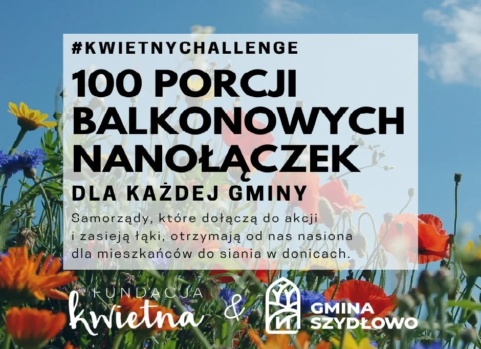 Załóż własną łączkę kwietną! Ruda Śląska ma 100 paczek nanołączek do rozdania