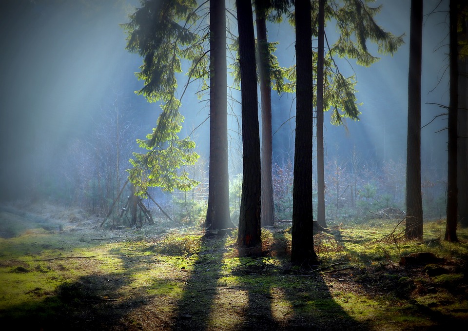 Dni Otwarte w Krainie Górnej Odry