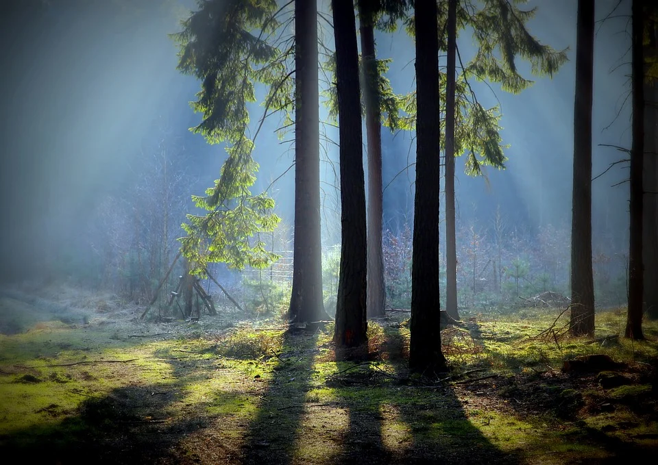 Dni Otwarte w Krainie Górnej Odry