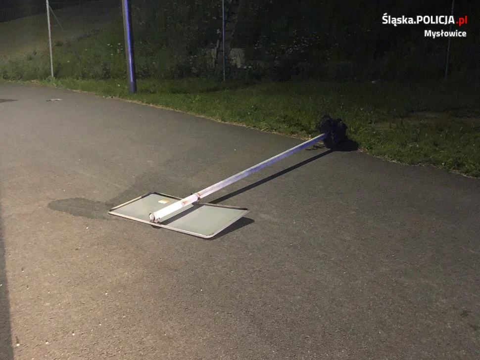 Wandale zatrzymani dzięki reakcji świadka