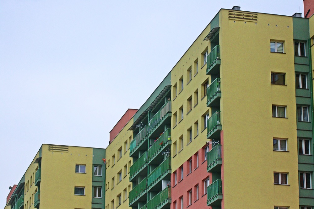 Jerzyki pomagają w walce z komarami