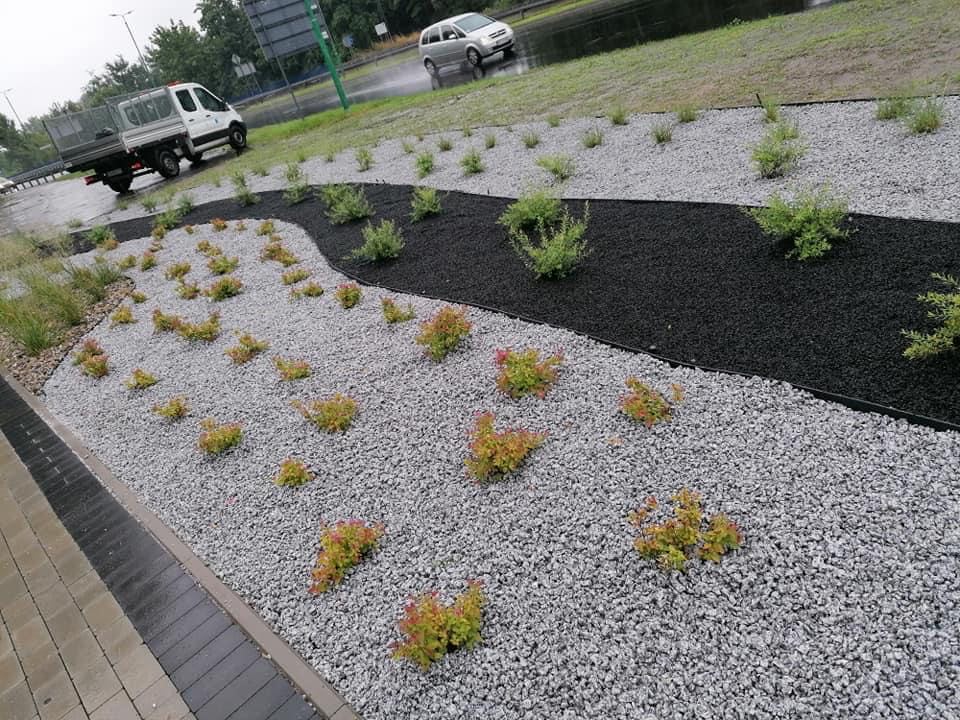 Nowe skwery i rabatki. Zobaczcie jak zmienia się Sosnowiec!