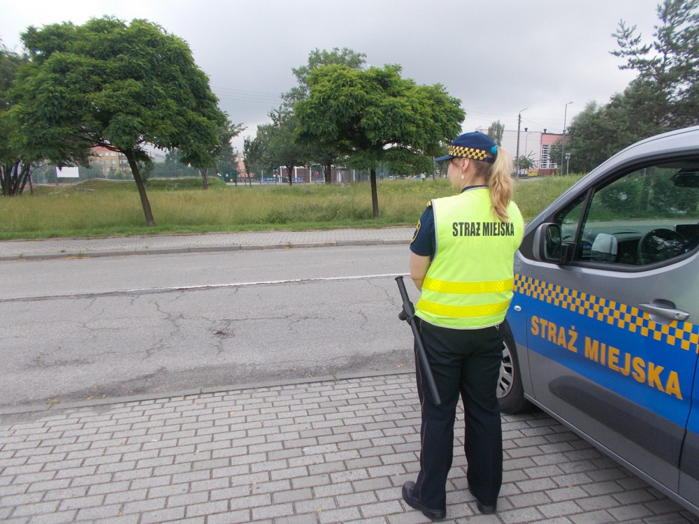 Mikołów: Akcja "Bezpieczne Wakacje" rozpoczęta