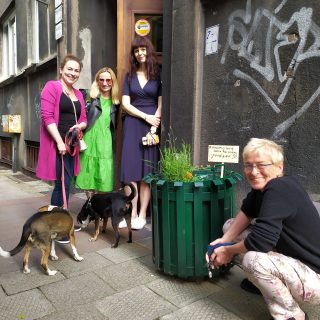 Mieszkańcy Katowic zaadoptowali ponad 40 donic