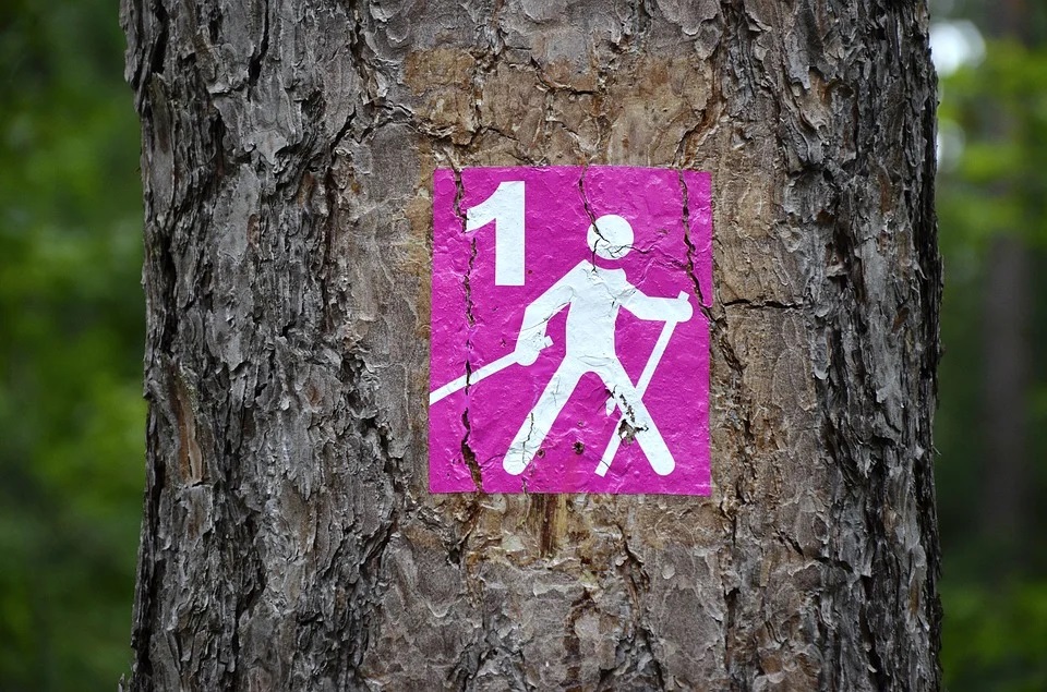 Lato z Nordic Walking na Zawodziu