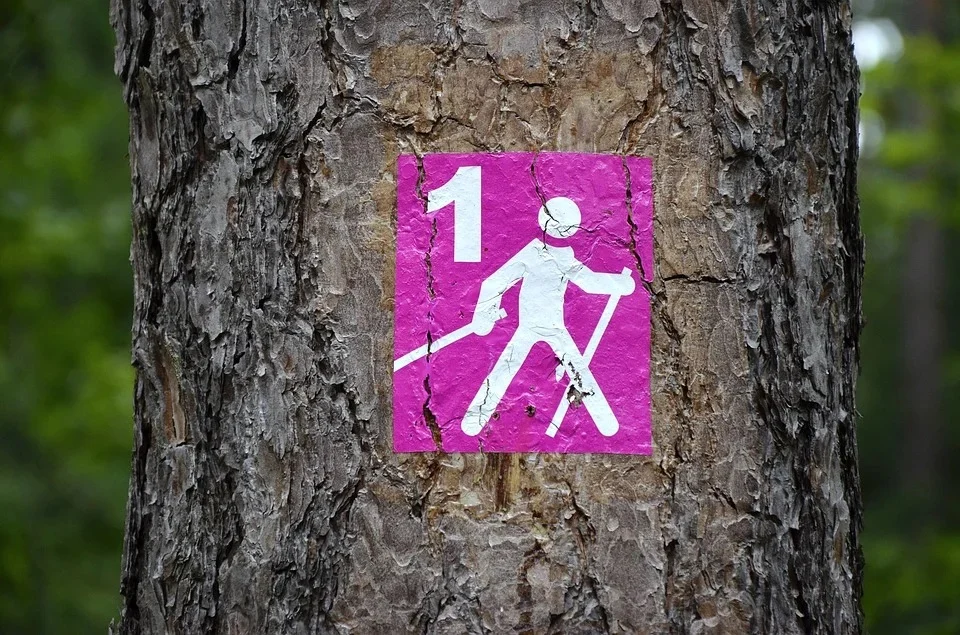 Lato z Nordic Walking na Zawodziu