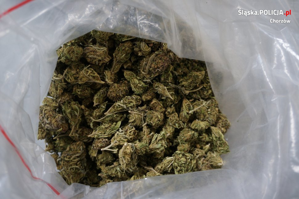 Chorzów: 37-latek zatrzymany z narkotykami. Grozi mu do 10 lat więzienia