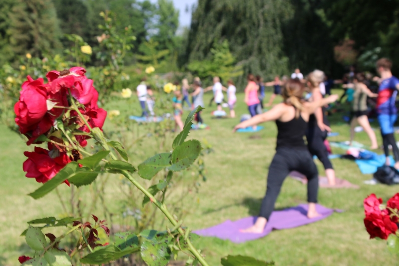 "Śniadania na trawie" wróciły do ogrodu różanego w Parku Śląskim