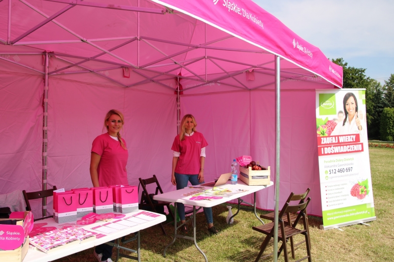 "Śniadania na trawie" wróciły do ogrodu różanego w Parku Śląskim