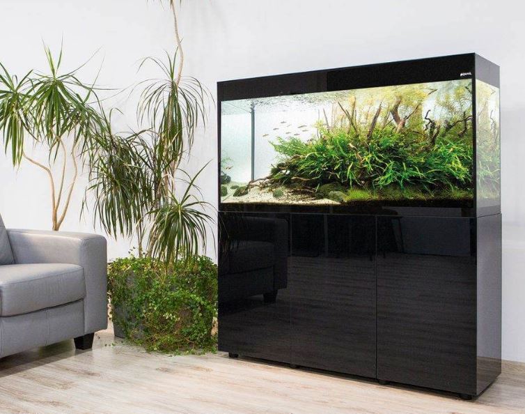Jak dbać o akwarium, czyli nowości od Aquael, które trzeba poznać!