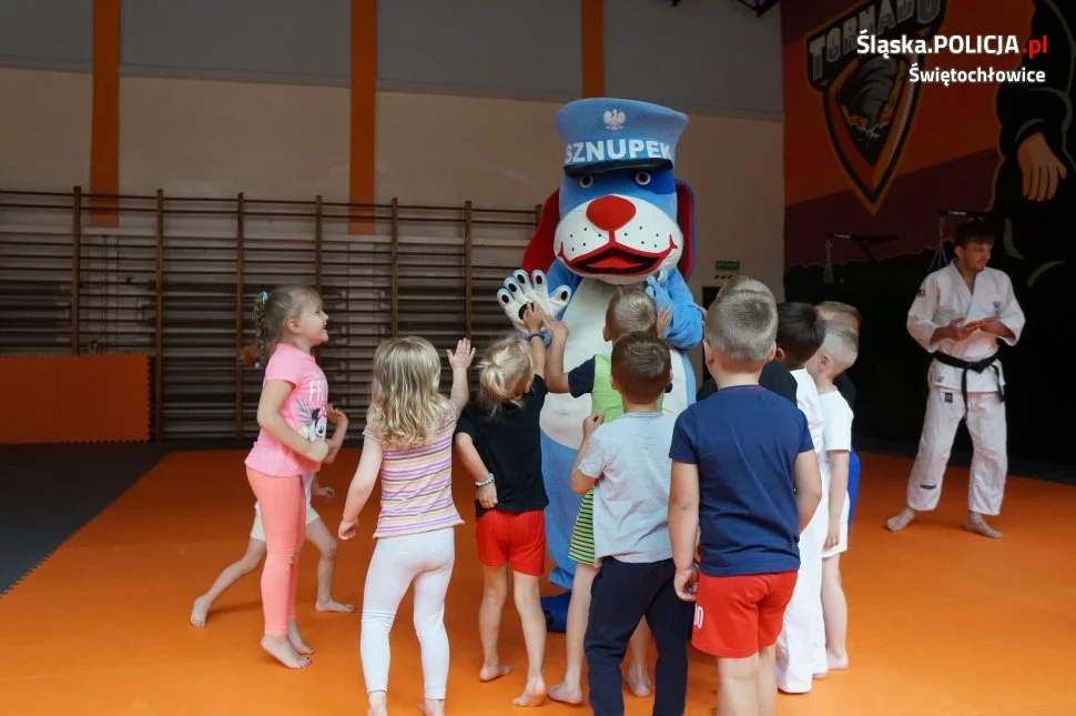 "Kręci mnie bezpieczeństwo...". Profilaktyka z najmłodszymi mieszkańcami Świętochłowic