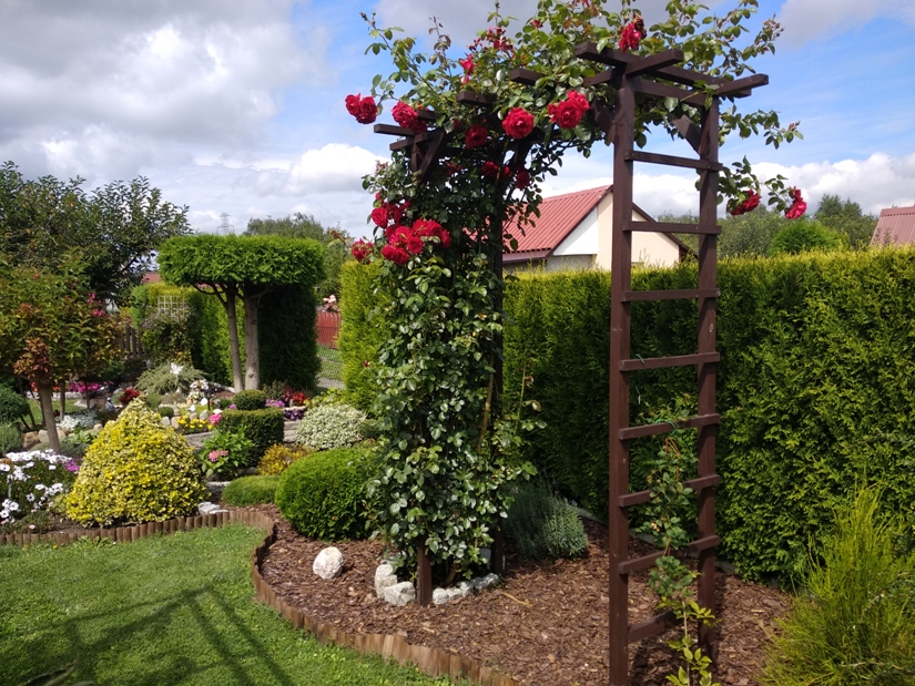 Ponownie wybierzemy najpiękniejszą zieloną przestrzeń w Żorach. Weź udział w konkursie!