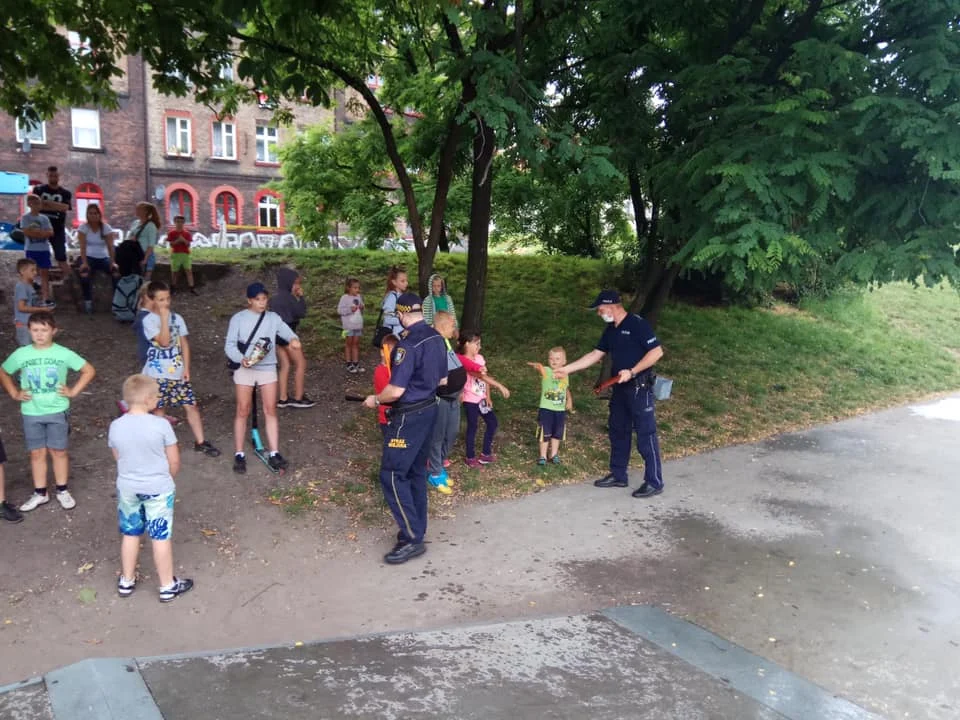 Bezpieczny skatepark 5