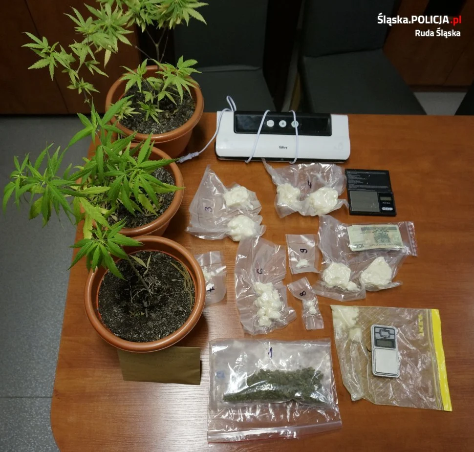 42-latek posiadał w mieszkaniu znaczne ilości narkotyków. Zatrzymano również 2 kobiety