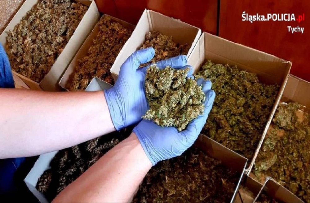Areszt za narkotyki warte ponad pół miliona złotych!
