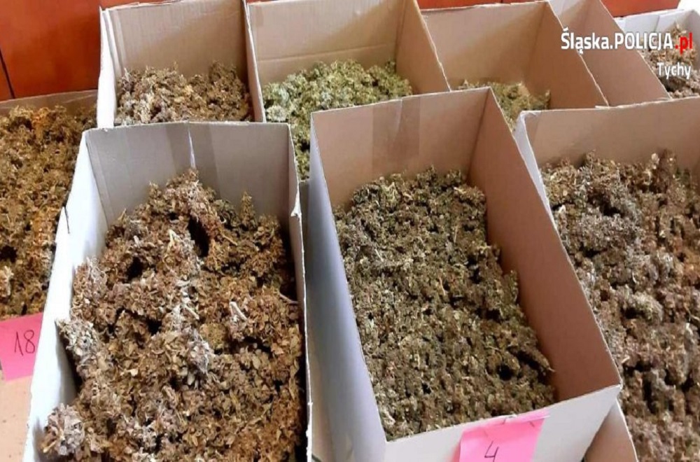 Areszt za narkotyki warte ponad pół miliona złotych!