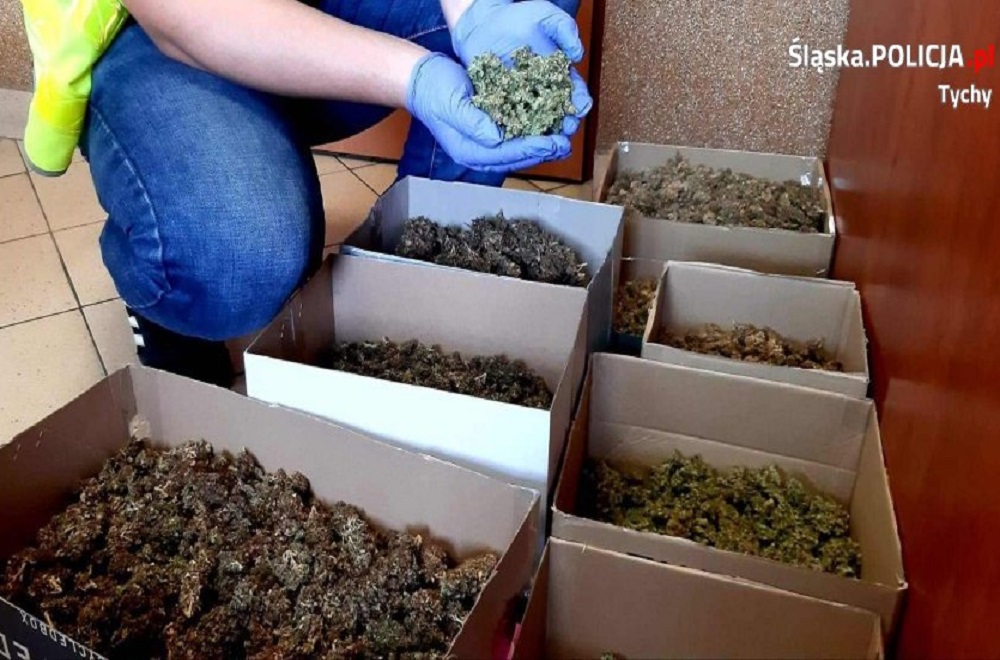 Areszt za narkotyki warte ponad pół miliona złotych!