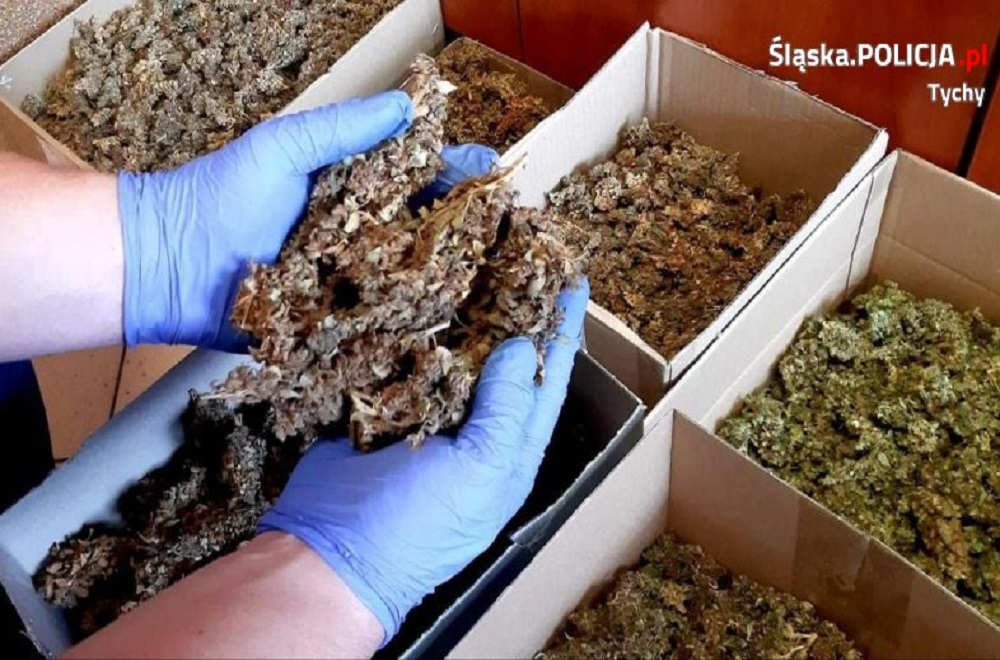 Areszt za narkotyki warte ponad pół miliona złotych!