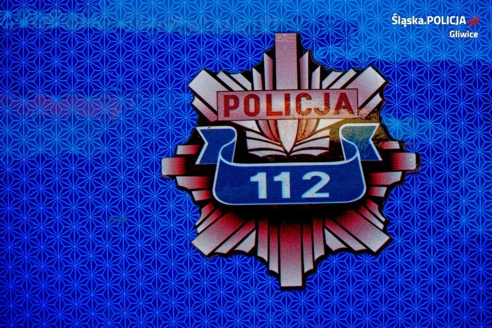 Na osiedlu Kopernika drzewo przygniotło kobietę