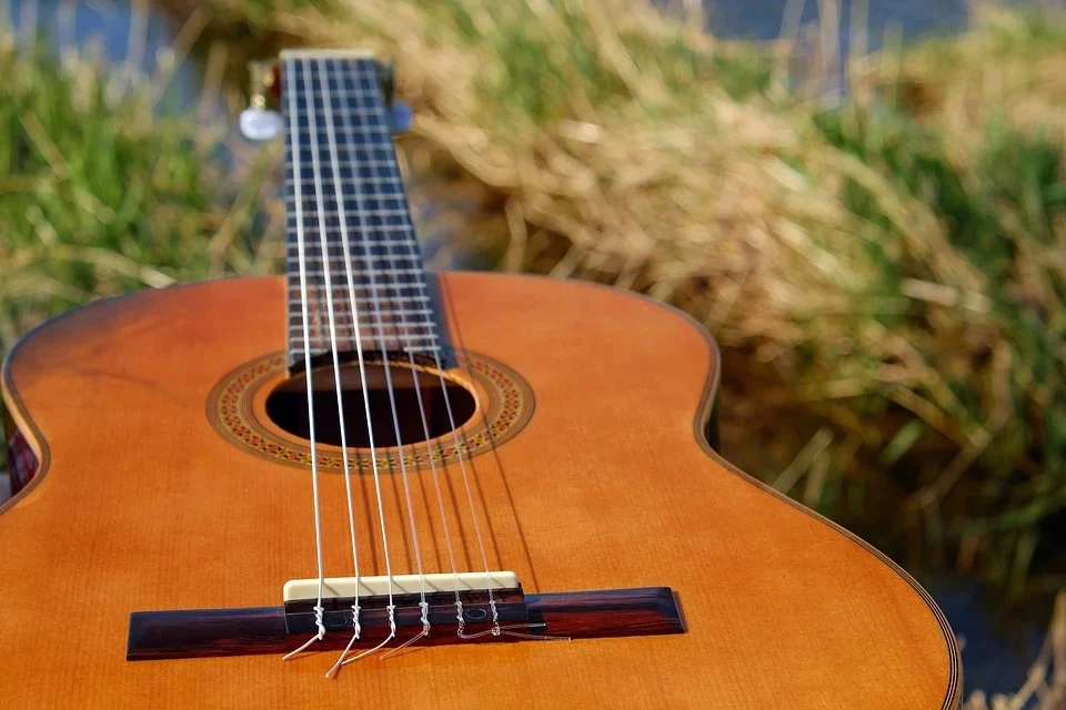 Koncert plenerowy "Między Muzyką a Naturą"