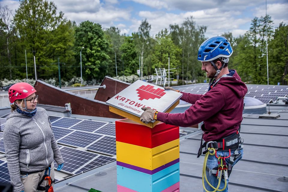 Miód z nutą lub kroplą Katowic ​