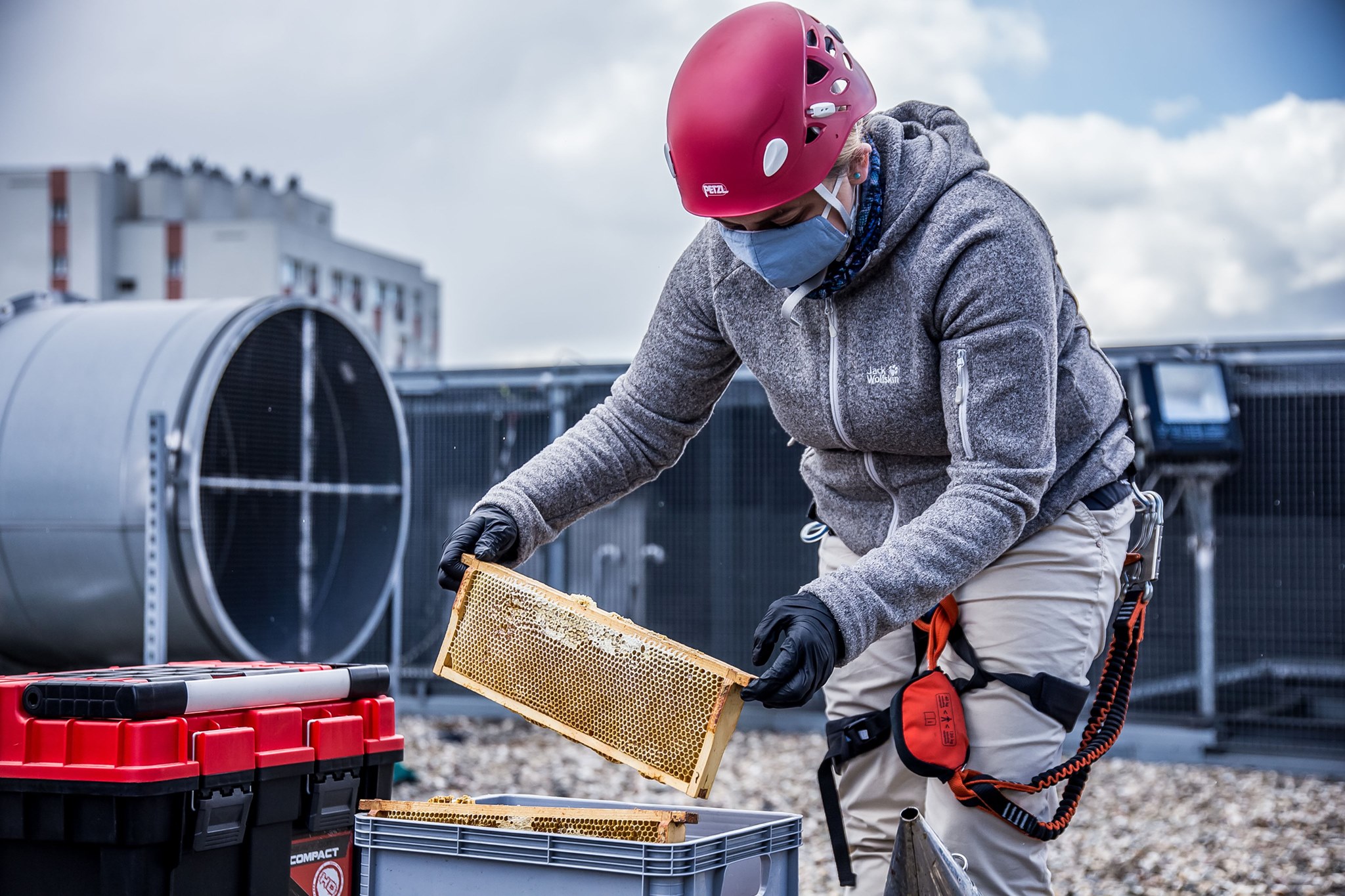 Miód z nutą lub kroplą Katowic 