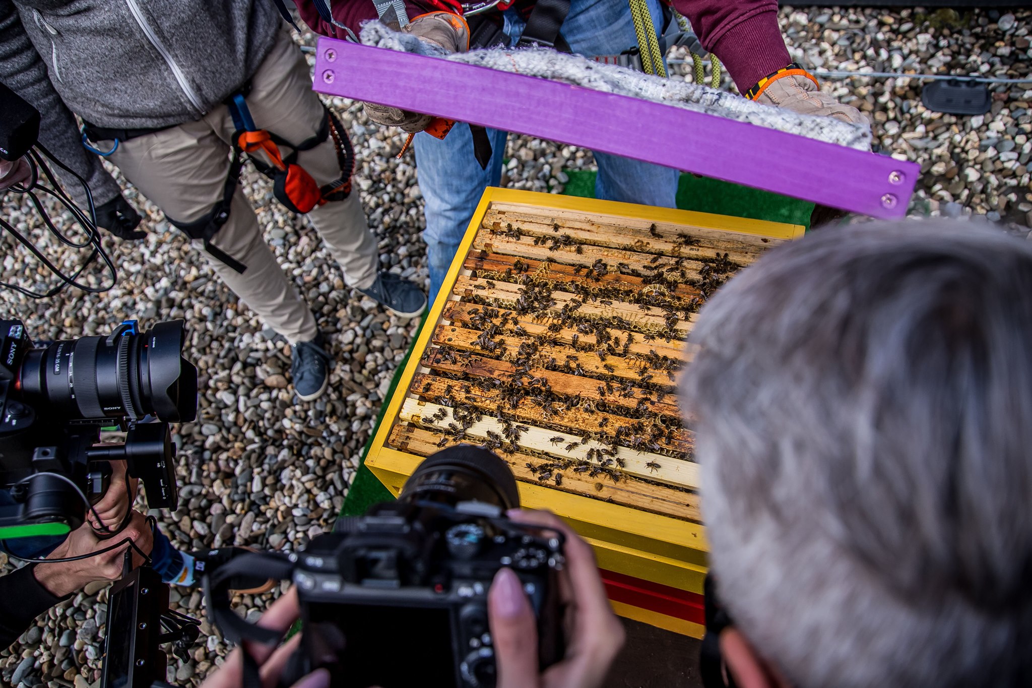 Miód z nutą lub kroplą Katowic 