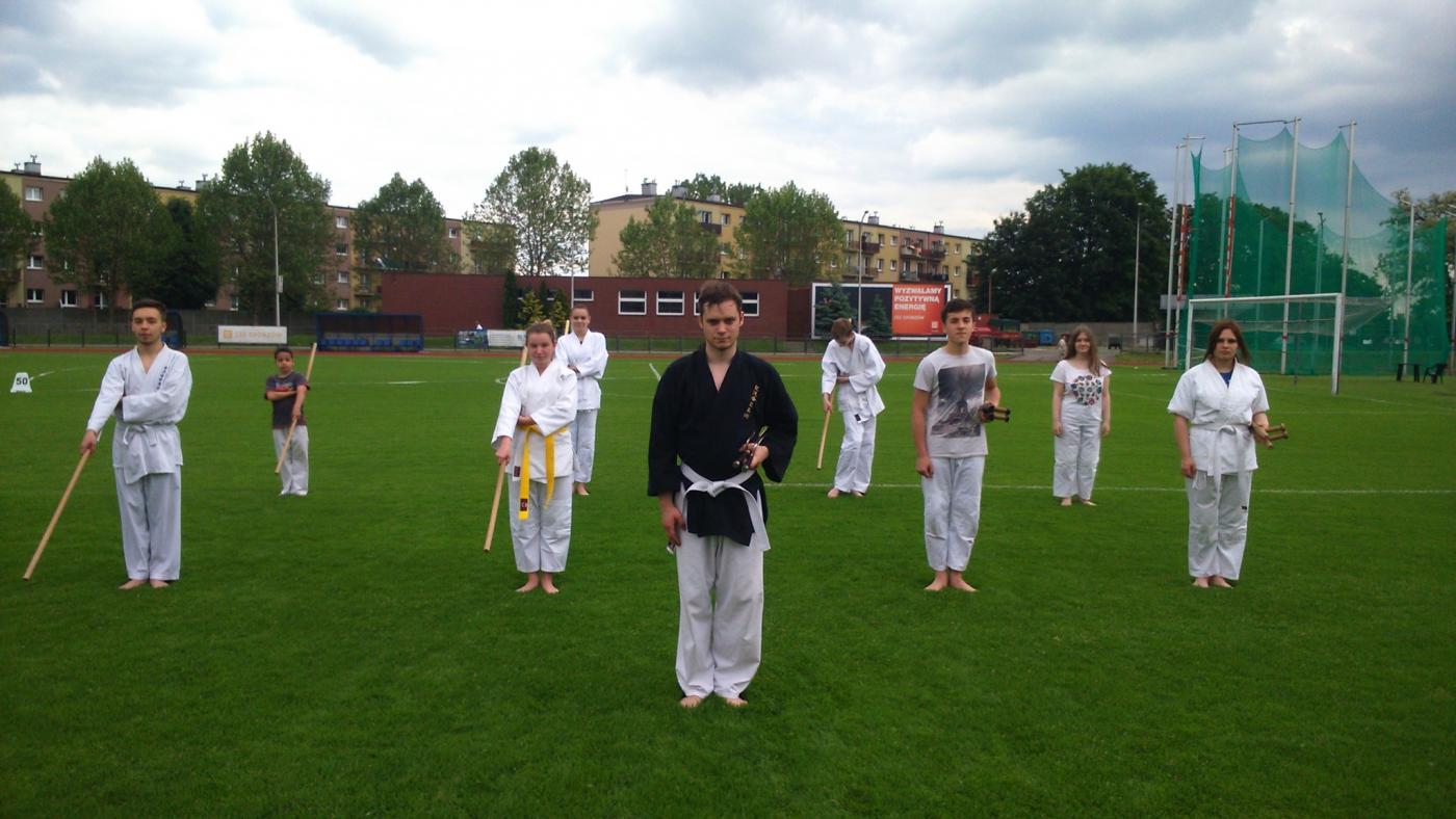 Pokaz sztuk walki dla dzieci w Parku Śląskim