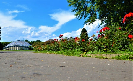 Aleje w Parku Śląskim zyskują nowoczesną nawierzchnię