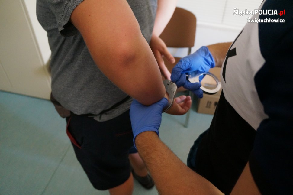 Świętochłowiczanin uprawiał w lesie konopie, wpadł po zbiorach