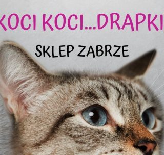 Sklep Koci, Koci ... Drapki!