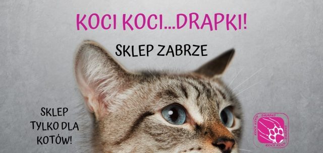 Sklep Koci, Koci ... Drapki!
