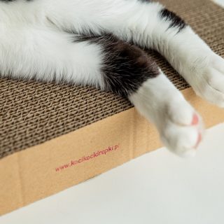 Sklep Koci, Koci ... Drapki!