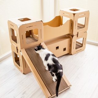 Sklep Koci, Koci ... Drapki!