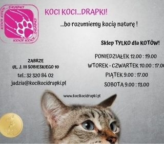 Sklep Koci, Koci ... Drapki!