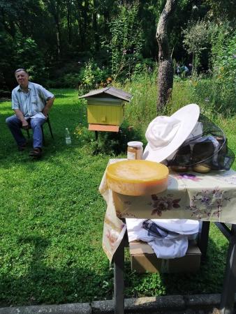 Za nami obchody Dnia Pszczół w Miejskim Ogrodzie Botanicznym