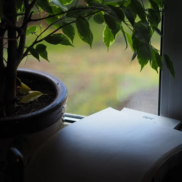 Zapraszamy do zgłaszania projektów SECAP Zabrze