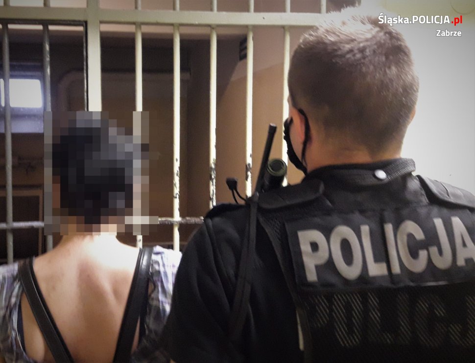 Miała posprzątać mieszkanie, a okradła właściciela. 37-latka usłyszała zarzuty