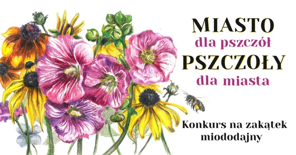 MOK: konkurs na zakątek miododajny